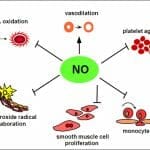 Nitric oxide image