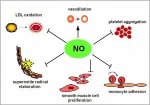 Nitric oxide image