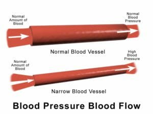 Blood flow 