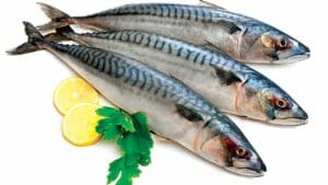 Oily fish