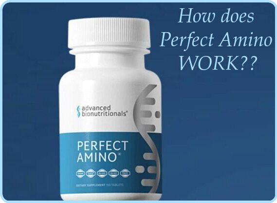 Perfect amino scam how it works image