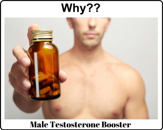 Male Libido Booster Supplements: Which Ones Really Work?