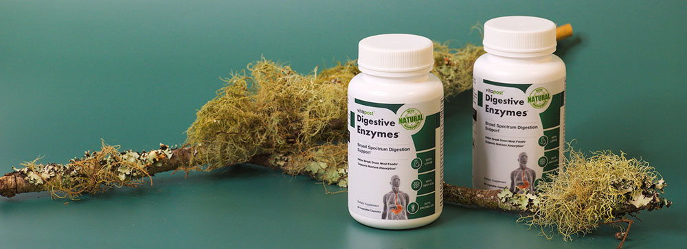 Digestive Enzymes and Top Digestive Enzyme Supplement